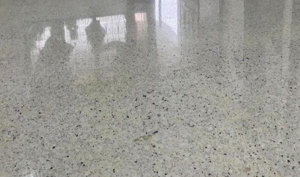 Terrazzo Polishing