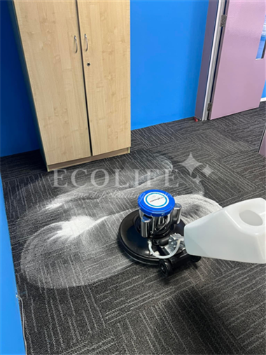 Office Carpet & Rug Carpet Cleaning