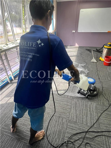 Office Carpet & Rug Carpet Cleaning