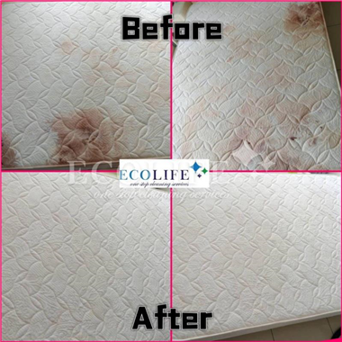 Sofa, Mattress & Upholstery Cleaning