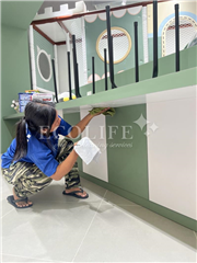 Basic & Deep Cleaning