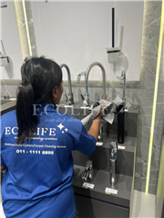 Basic & Deep Cleaning